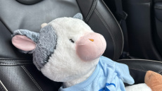 Volvo V40 T3 [152] R DESIGN Edition 5dr Geartronic Petrol Hatchback